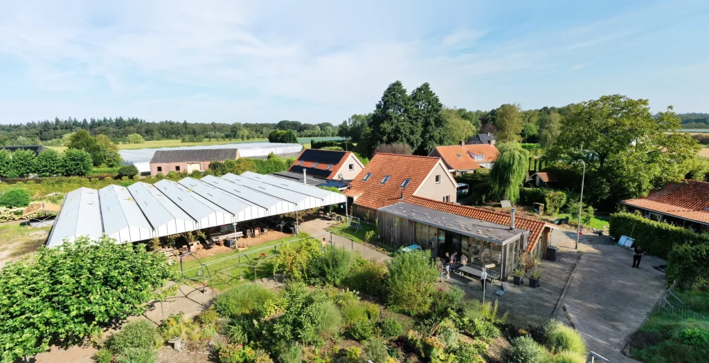 DJI 0986 Panorama