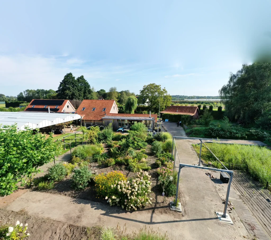 DJI 0991 Panorama